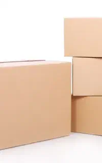 راننده با نیسان شخصی برای پخش ساکن ایلام