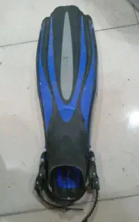 پیدا شده