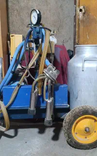 شیر دوش گاو دو راسی