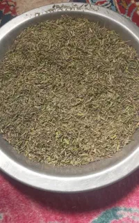 ازبوله