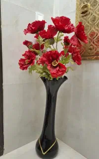 گل شقایق