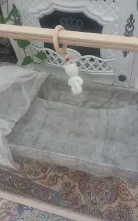 گهواره نوزادی