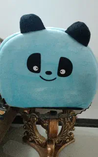 وسایل مورد استفاده سگ و گربه