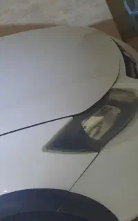 کوئیک آر سفیدمشکی
