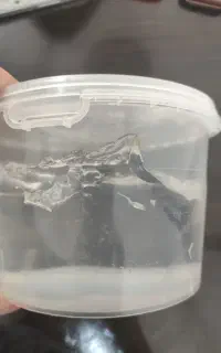 پارافین ژله ای