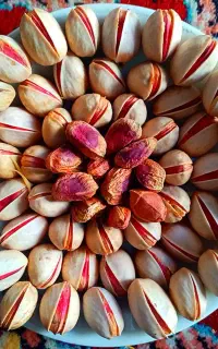 فروش 30ساعت اب چاه موتور برقی باغ پسته