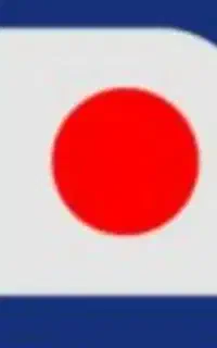 صدور انواع بیمه نامه در سریعترین زمان