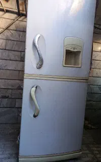 یخچال‌‌سونی