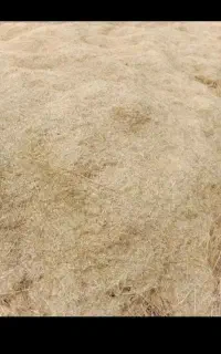 کاه به صورت فله ماشین هم خواستی هست توافقی