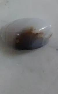 فروش سنگ خراسانی و سنگ فیروز نیشابور