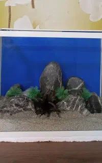 آکواریوم شیشه خم