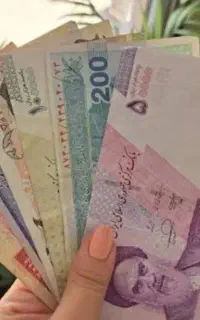 سرمایه وشراکت