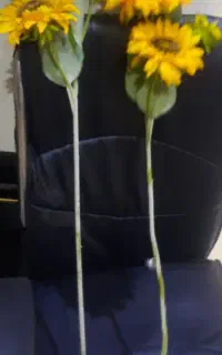 دوشاخه گل افتاب گردان مصنوعی