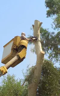 خریدوفروش انواع چوب