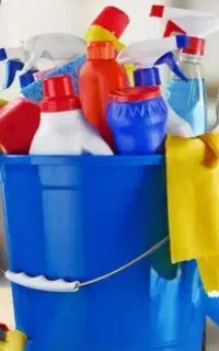 گروه خدمات پاکیزه