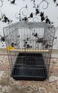 قفس پرندگان