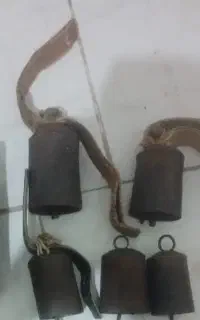 زنگوله