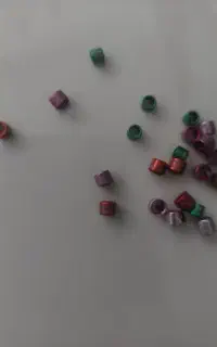 حلقه پا سهره و قناری