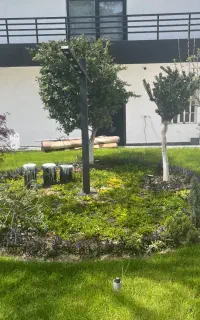 طراحی فضای سبز