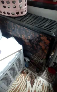 بخاری  سالم