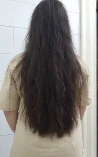 خدمات مو