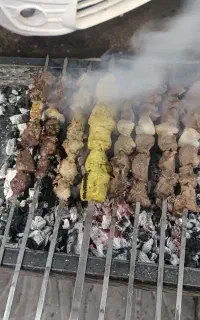 شریک برای کبابی
