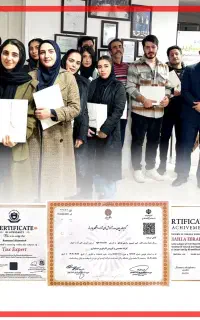 حسابدار شو ، استخدام شو
