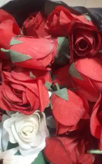 شاخه گل  بدون ساقه