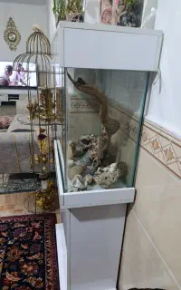 اکواریوم