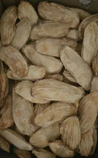 هسته انبه