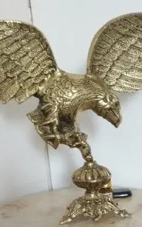 عقاب برنزی