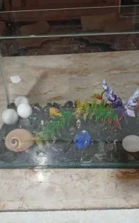 اکواریوم رو میزی 400