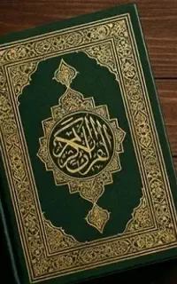 سید