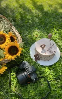 عکاسی فضای باز،عقد،تولد