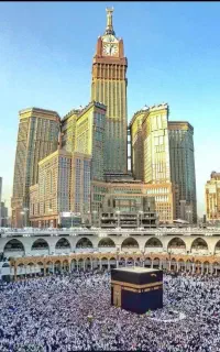 فروش فیش مکه نقدی