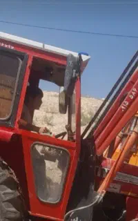 کود حیوانی