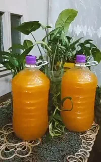 شامپو اقتصادی شبنم