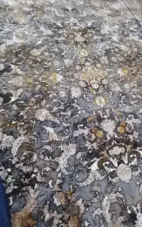 فرش تمام نخ