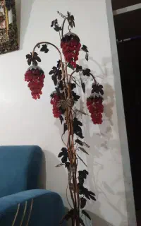 انگور دکوری