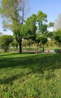 ورزش صبحگاهی.  و همگانی