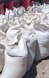 خریداری و جمع کردن کود فضله کبوتر کوهی شیروانی