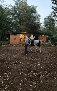 کارگر برای باشگاه سوارکاری