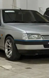 سفر به شهرستانها باسواری سمند