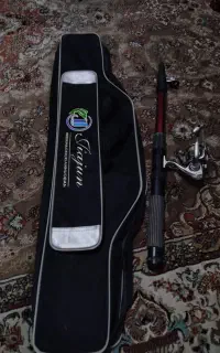 لنسر با کیف