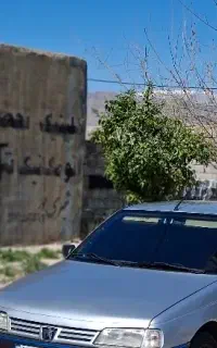 سواری دربست