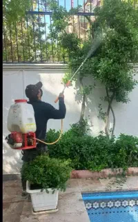 سمپاشی باغبانی  سم پاش هرس کاری