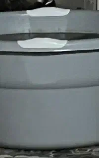 لگن یا همون تشت