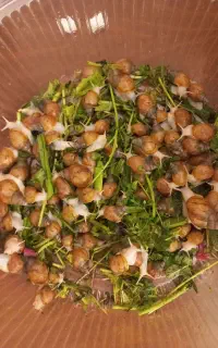 حلزون آلبینو - خواص پوستی حیرت انگیز