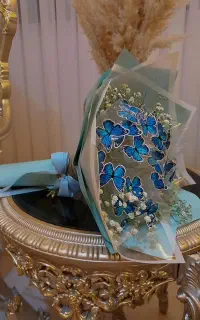 بوکت پروانه