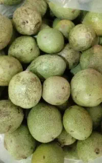 دستگاه پوست گیر گردو کوی جهاد